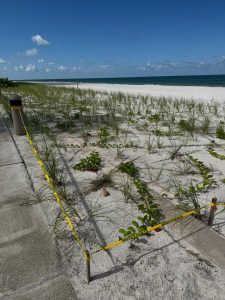 Beack park news photo 1