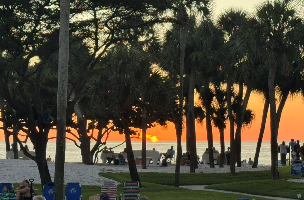 Our First Movie Night at the Beach Park: A Magical Evening of Community, Cinema, and Sunset